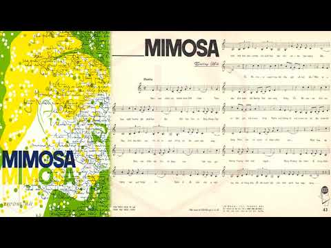 🎵 Chuyện Tình Mimosa (Trường Hải) Trường Hải Pre 1975 | Tờ Nhạc Xưa